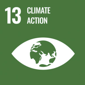 UN Sustainable Development Goals: Climate Action