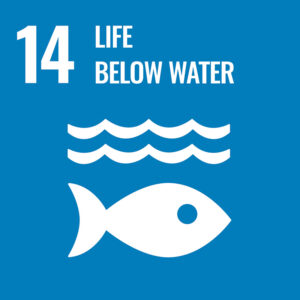 UN Sustainable Development Goals: Life Below Water